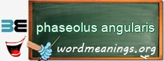 WordMeaning blackboard for phaseolus angularis